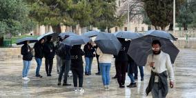 بالصور.. عشرات المستوطنين يقتحمون المسجد الأقصى