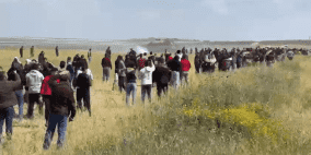 بالفيديو: الاحتلال يستهدف المشاركين بفعالية يوم الأرض شرق غزة