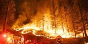 حرائق الغابات تجتاح نحو مئة منزل في كوريا الجنوبية