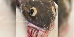 شاهد: صياد روسي يوثق "صيد نادر"