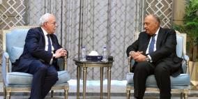 تفاصيل لقاء الوزير المالكي مع نظيره المصري في القاهرة!