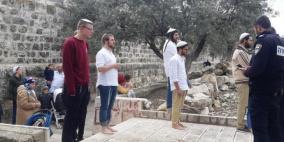 مستوطنون يقتحمون المقامات الإسلامية في كفل حارس