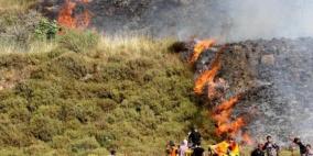 خاص| حرائق الأشجار وتسميم المياه.. أدوات جديدة للاحتلال في تهجير المزارعين