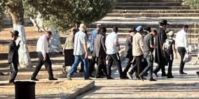 بحماية شرطة الاحتلال.. مستوطنون يقتحمون المسجد الأقصى