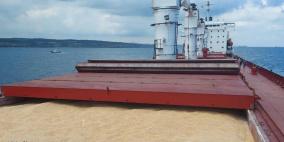 مصر تدعو موسكو وكييف إلى إيجاد "حلول عاجلة" لأزمة الحبوب