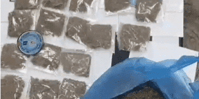 الشرطة تضبط  مواد  مخدرة شرق نابلس