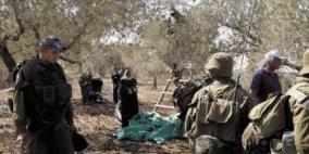 الاحتلال يجبر المزارعين على مغادرة أراضيهم في يانون جنوب نابلس