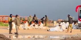 محكمة الاحتلال العليا تطالب بتوضيح ظروف اعتقال أسرى قطاع غزة