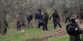 مستوطنون يسيّجون أراضي في بلدة سلوان جنوب المسجد الأقصى