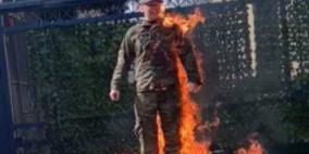 تعتيم إعلامي غربي متعمد.. وتفاعل عربي واسع مع أمريكي أحرق نفسه لوقف “إبادة غزة”