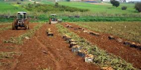 مستوطنون يحرثون أرضا زراعية ويقطعون شبكة مياه في الأغوار