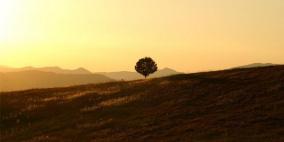 تعمقُ الموجة الخماسينية اليوم و غداً