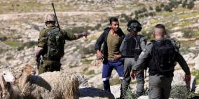اعتقال 3 رعاة أغنام في مسافر يطا بعد تعرضهم لاعتداء مستوطنين