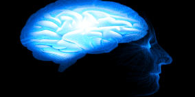 اكتشاف رابط هام بين عناصر غذائية وتباطؤ شيخوخة الدماغ.. فما هي تلك العناصر؟