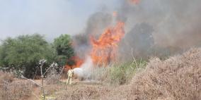 اندلاع حرائق في أراضي عين يبرود جراء قنابل غاز أطلقها الاحتلال