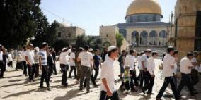 مستوطنون يقتحمون الأقصى في رابع أيام "الأنوار العبري"