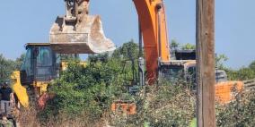 مستوطنون يقتلعون 500 شجرة ويعتدون على الممتلكات في يطا جنوب الخليل