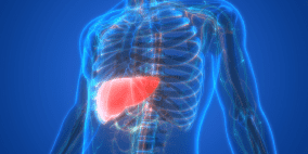 اكتشاف جديد يفسر سبب ارتفاع معدل الوفيات بين مرضى الكبد الدهني النحيفين
