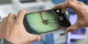 تسجيل أول حالة إصابة بمرض حمى النيل الغربي في فلسطين