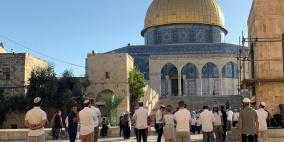 222 مستعمرا يقتحمون المسجد الأقصى