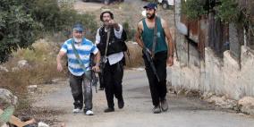 مستوطنون يقتحمون قرية بيت دجن شرق نابلس