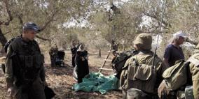 الاحتلال يمنع المزارعين من قطف ثمار الزيتون في برقة شمال غرب نابلس