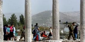 الاحتلال يثبت أمر الاستيلاء على آثار سبسطية