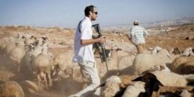 مستوطنون يعتدون على المواطنين جنوب الظاهرية ويحرقون حظيرة أغنام