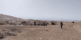 أريحا: مستوطنون يقتحمون راس العين