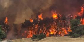 الحرائق في أحراش القدس تتوسع