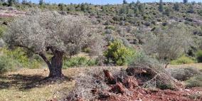 الاحتلال يجرف أراضي في قرية أم صفا شمال غرب رام الله