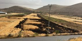 مستوطنون يحرقون أراضي شرق رام الله