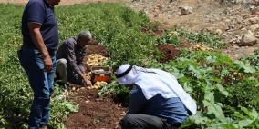 خاص| الإغاثة الزراعية تكرّس جهودها لدعم المزارعين في الأغوار والمناطق المهددة