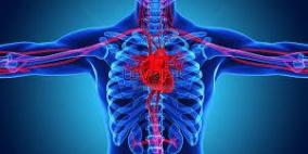 معلومات_عن_جسم_الأنسان