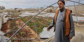 ‫"فاو": 4.6% فقط من أراضي قطاع غزة صالحة للزراعة