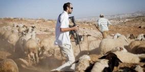 نواب في البرلمان الأوروبي يطالبون بفرض عقوبات على المستوطنين