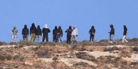 مستوطنون يسرقون 20 ناقة بمسافر يطا جنوب الخليل