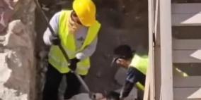 محافظة القدس: الاحتلال يدمّر آثارا إسلامية أموية أسفل المسجد الأقصى لإخفاء الحقائق التاريخية