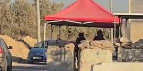 حاجزان عسكريان للاحتلال يعيقان حركة المواطنين في فرعتا شرق قلقيلية