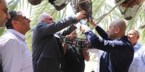 إطلاق موسم قطف التمور في أريحا والأغوار