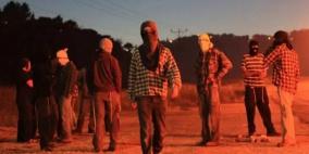 إصابة مسنة ومتضامنتين أجنبيتين بهجوم للمستوطنين جنوب الخليل