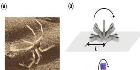 روبوت مُستوحى من العناكب لعلاج أمراض الجهاز الهضمي