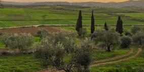 خاص | فلسطين تحيي اليوم العربي للبيئة: نحو مستقبل أخضر ومستدام