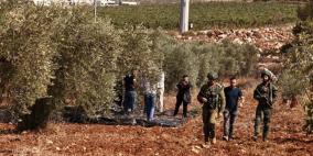 الاحتلال يطلق الرصاص الحي صوب قاطفي الزيتون في كفر راعي