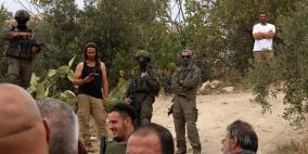 مستوطنون يطلقون مواشيهم في أراضي المواطنين بمسافر يطا ويسرقون مركبة