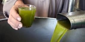 غير مسبوقة.. فياض يوضح لراية أسباب ارتفاع أسعار زيت الزيتون في فلسطين