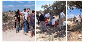 "مقاومة الجدار": 259 اعتداءً ضد قاطفي الزيتون منذ انطلاق الموسم