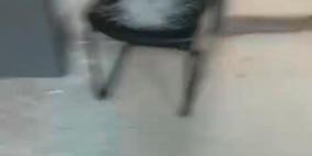 بالفيديو| هجوم جديد للمستوطنين على محطة "عين سامية" للمياه شمال شرق رام الله