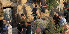 مستوطنون يقتحمون خربة سروج غرب جنين