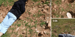 إصابة متضامنين أجنبيين في هجوم للمستوطنين على قصرة جنوب نابلس